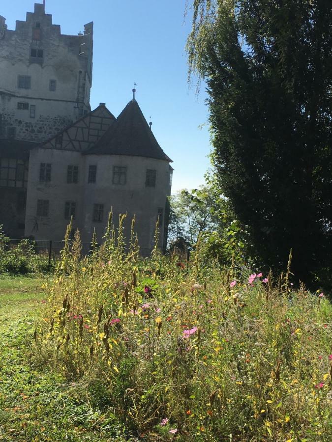 Ferienwohnungen Greitmann Meersburg Exterior foto